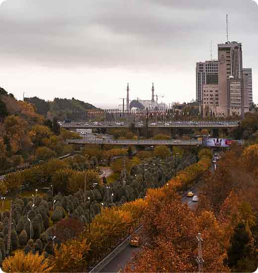 قالیشویی در شمال تهران